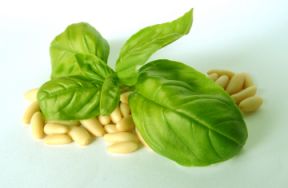 Basil and pine nuts