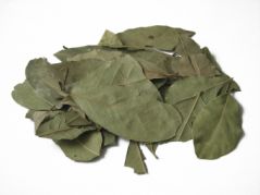 Bay leaves