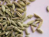 Cumin seeds