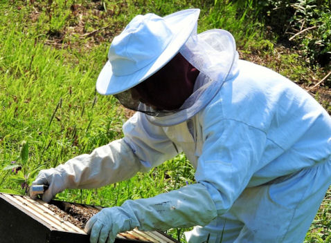 beekeeper in bee suit