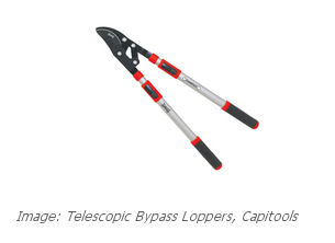 buy these loppers