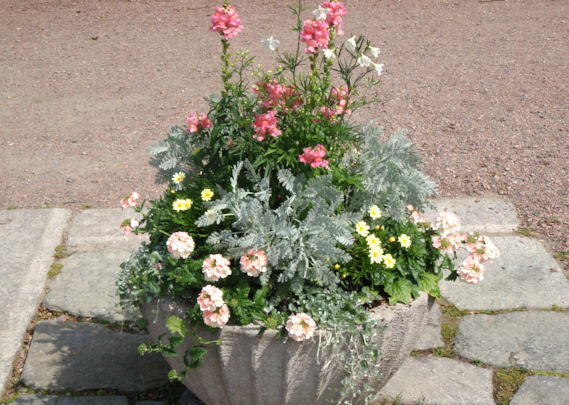 planted container