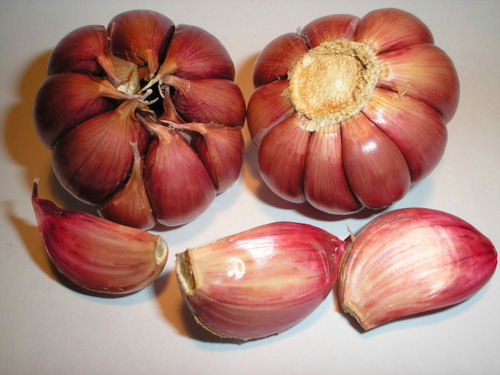 garlic cloves