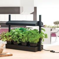 micro grow light kit