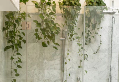 hanging plants in shower