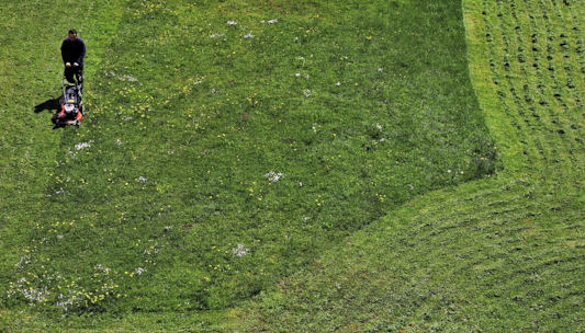person mowing a large lawn