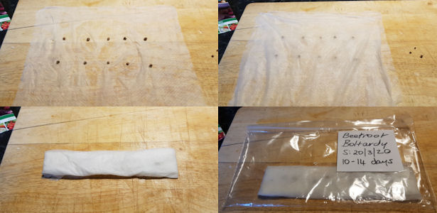 testing viability of seeds