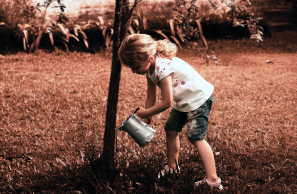 watering a tree