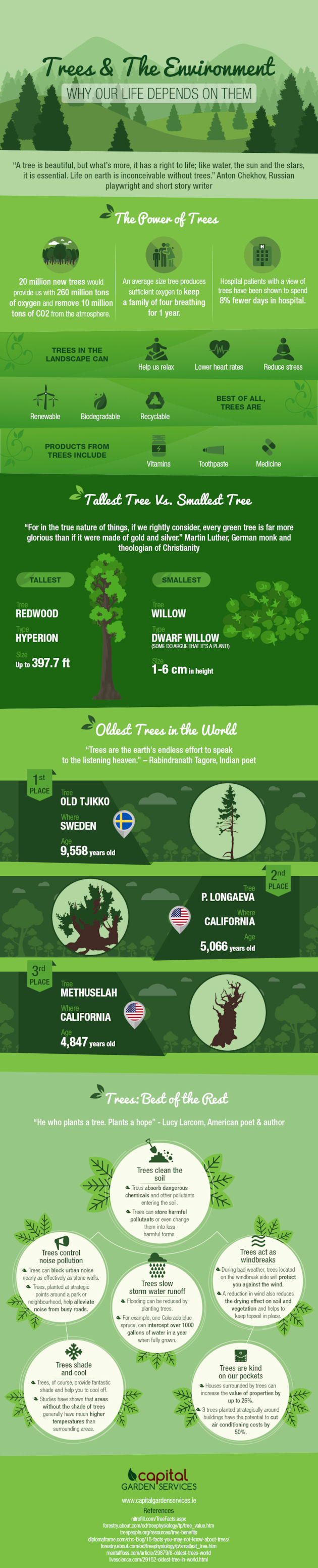 infographic about trees and the environment